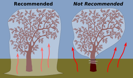 tree-protection-lollipop